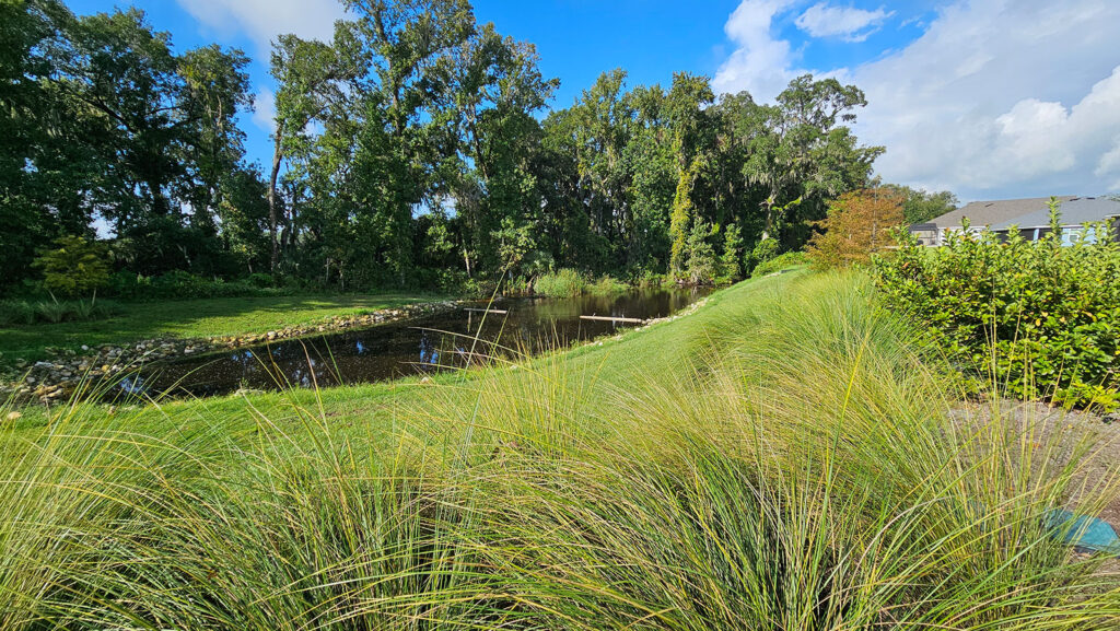 The Villages outfall of one of the Water Conservation Structures