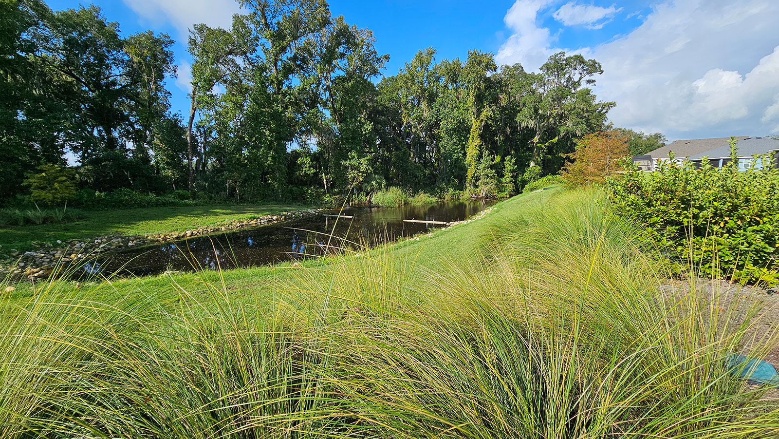 The Villages outfall of one of the Water Conservation Structures